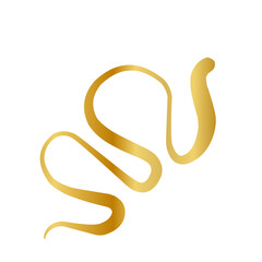 Obraz premium golden swirl