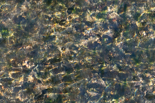 Top-down view of a shallow stream bed where sunlight dances on the water's surface, illuminating the textured stones and patches of algae below for seamless web background
