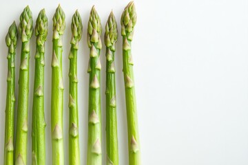 Fototapeta premium close-up of fresh asparagus spears displayed horizontally on white surface illuminated softly with wide copy space
