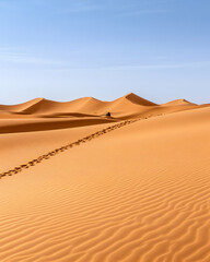 Desert expanse with footprints.  Vast, sandy dunes stretch under a clear blue sky
