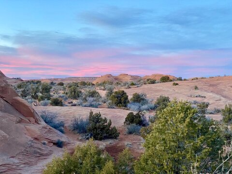 Sandstone rock formations and shrubs at sunset, Arches National Park near Moab, Utah, USA