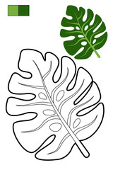 Coloring page whit tropical leaf for coloring book about exotic plants. Contour, colorful sample, color palette. For preschool and early elementary school children, to kid enjoy jungle vibes