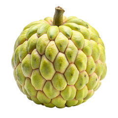 Fototapeta premium custard apple isolated on white