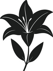 Elegant Lily Flower Silhouette Vector – Spring Floral Design