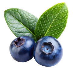 Obraz premium blueberries with leaves