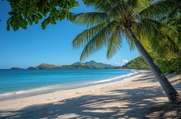 Serene Tropical Beach with Palm Trees, Azure Water, and Lush Green Mountains under a Bright Blue Sky on a Sunny Day