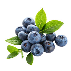 blueberries isolated