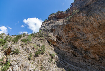 Samaria Gorge Landscape