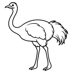 Obraz premium One-Stroke Ostrich Vector Art Design