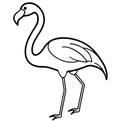 Simple Flamingo Line Illustration