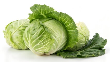 Spring Cabbage