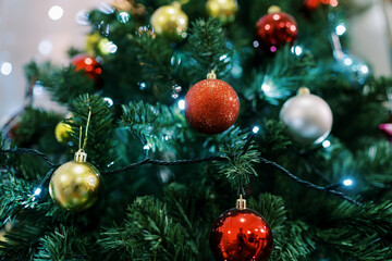 Golden, red and silver shiny balls hang on the branches of the Christmas tree