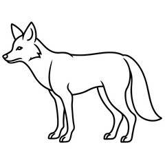 Single Line Coyote Elegant Vector Design