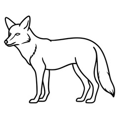 Single Line Coyote Elegant Vector Design