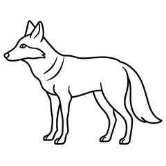 Single Line Coyote Elegant Vector Design