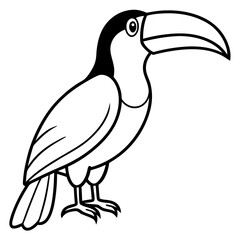 Toucan Silhouette Vector Design in One Line
