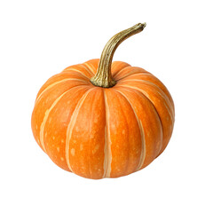 Fototapeta premium pumpkin isolated on transparent background