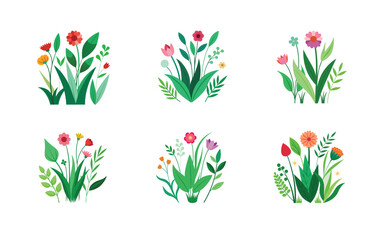 flowers and green leaves and grasses isolated on white background 