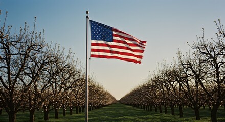 American flag waving proudly amidst blooming orchard trees at springtime