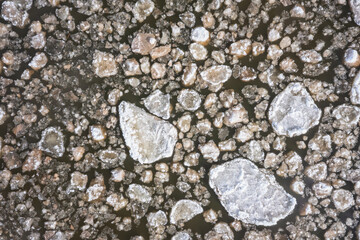 Aerial landscape of Baltic Sea beach in Mikoszewo at snowy winter. Poland