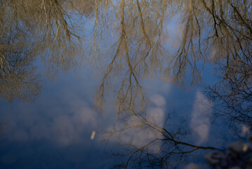 herbst primavera alemanha Deutschland