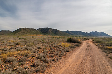 Radweg im Naturpark Cabo de Gata-Nijar nahe Las Salinas, Provinz Almería, Andalusien, Spanien