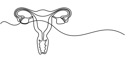 Continuous line drawing of women's Uterus and Ovary. One line Female reproductive system uterus vector illustration isolated on white background, One continuous line drawing of woman uterus. 