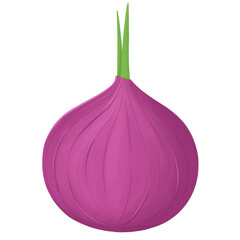 Shallots purple onions red  scallion sprouts vegetables