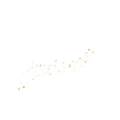 sprinkle gold powder