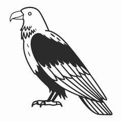 eagle vector illustration