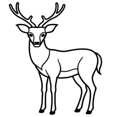 deer vector illustration
