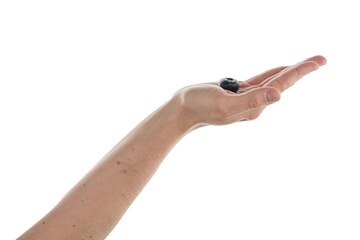 Man hand hold big blueberry isolated on white