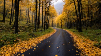 Obraz premium Serene Autumn Road in Forest with Vibrant Yellow Foliage and Misty Atmosphere