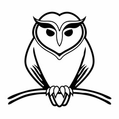 owl on white background