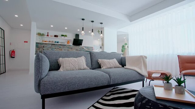 A bright and modern living room featuring a sleek gray sofa with textured pillows, a round coffee table with potted plants, a zebra-patterned rug, and an open kitchen in the background.