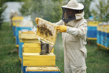 Beekeeper smoking honey bees with bee smoker on the apiary