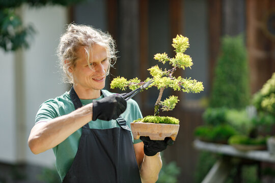 Young blonde man pruring bonsai at backyard garden