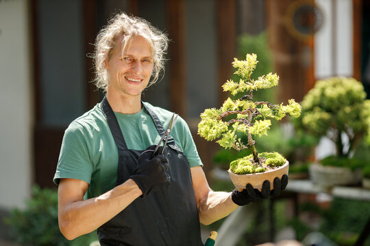 Young blonde man pruring bonsai at backyard garden