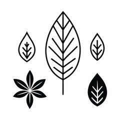 Leaf vector set illustration with natural decorative elements