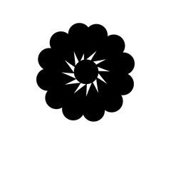 Many types of Flowers