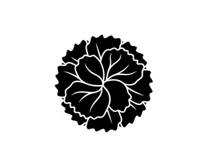 creative details carnation icon Vector Illustration