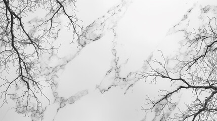 Fototapeta premium A sleek white marble slab background with subtle natural veins.