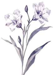 Obraz premium Elegant watercolor illustration of delicate purple flowers