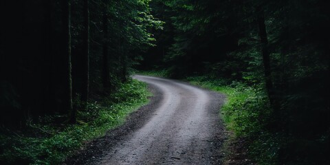 Fototapeta premium Winding gravel road weaving through shadowy forest depths, revealing secluded woodland path with mysterious woodland atmosphere