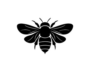 creative details bee and flower icon vector Illustration