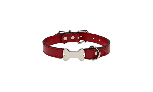 A red dog collar with a silver bone-shaped tag, high-quality leather texture