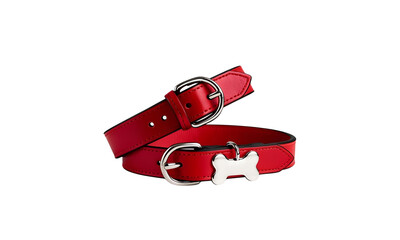 A red dog collar with a silver bone-shaped tag, high-quality leather texture
