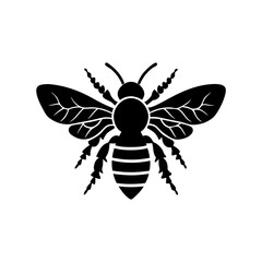 Fototapeta premium creative details bee and flower icon vector Illustration