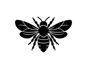 creative details bee and flower icon vector Illustration