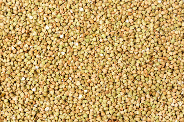 Green buckwheat isolated on white background, organic grain and healthy eating concept